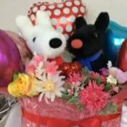 さぁ☆の画像
