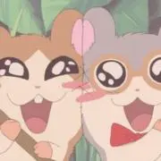 ⭐️の画像