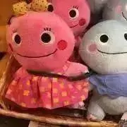 ナルコの画像