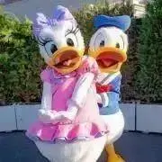 あややん❤︎の画像