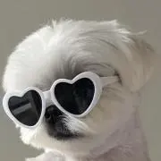 XOXの画像