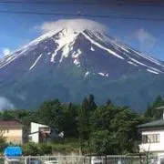 山猫