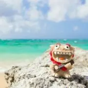 レイ