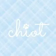 chiotの画像