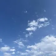 しおりの画像