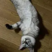 ひろの画像