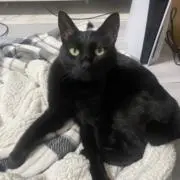 ゆーきの画像