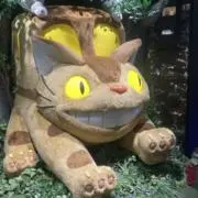 む/プロフ必読の画像