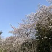 ハル