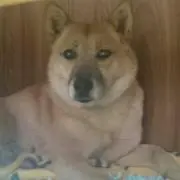 moku