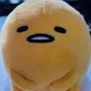 ⭐️たまご⭐️の画像