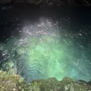 ノリノリの画像