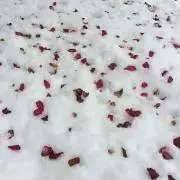 コムスビの画像