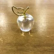 ララの画像