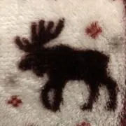 こうの画像