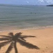 たま餅の画像