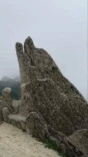 たろう