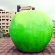 Lilasの画像