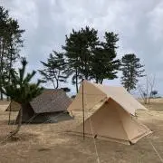 hichiの画像