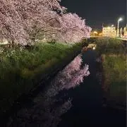 Maychannの画像