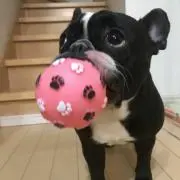 めぐちゃん