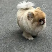 TAKU