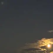 nao_koの画像