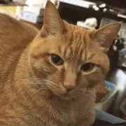 yk（6/15ニックネーム変えました）
