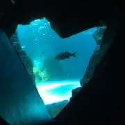 くまてつ