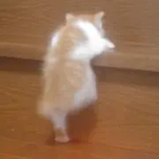 みい