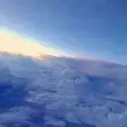 pomの画像