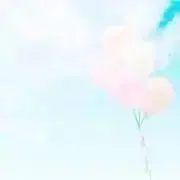 Felizの画像