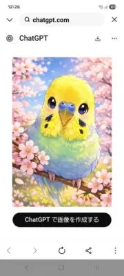 ◆チャニ◆の画像