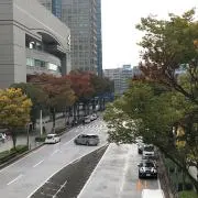 TYの画像