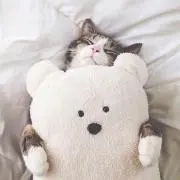 むぎの画像