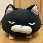 junの画像