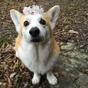ぴち