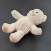 もふもふ大好き＊プロフをご確認ください＊の画像