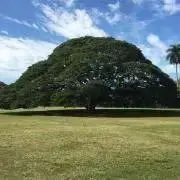 いそのはまちの画像