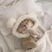 そらまめの画像