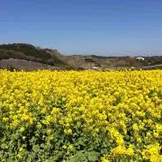 さきんこママ