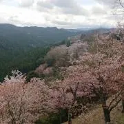 ゆきやんの画像