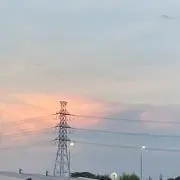すずの画像