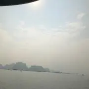 Ｍ.mの画像