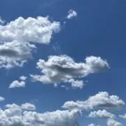 よぎの画像