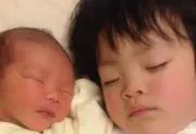 dd31の画像