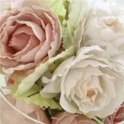 サトリーヌの画像