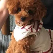 モナ