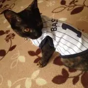 み〜こ