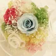 Mの画像